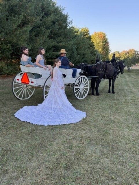 Wedding carriage symbol